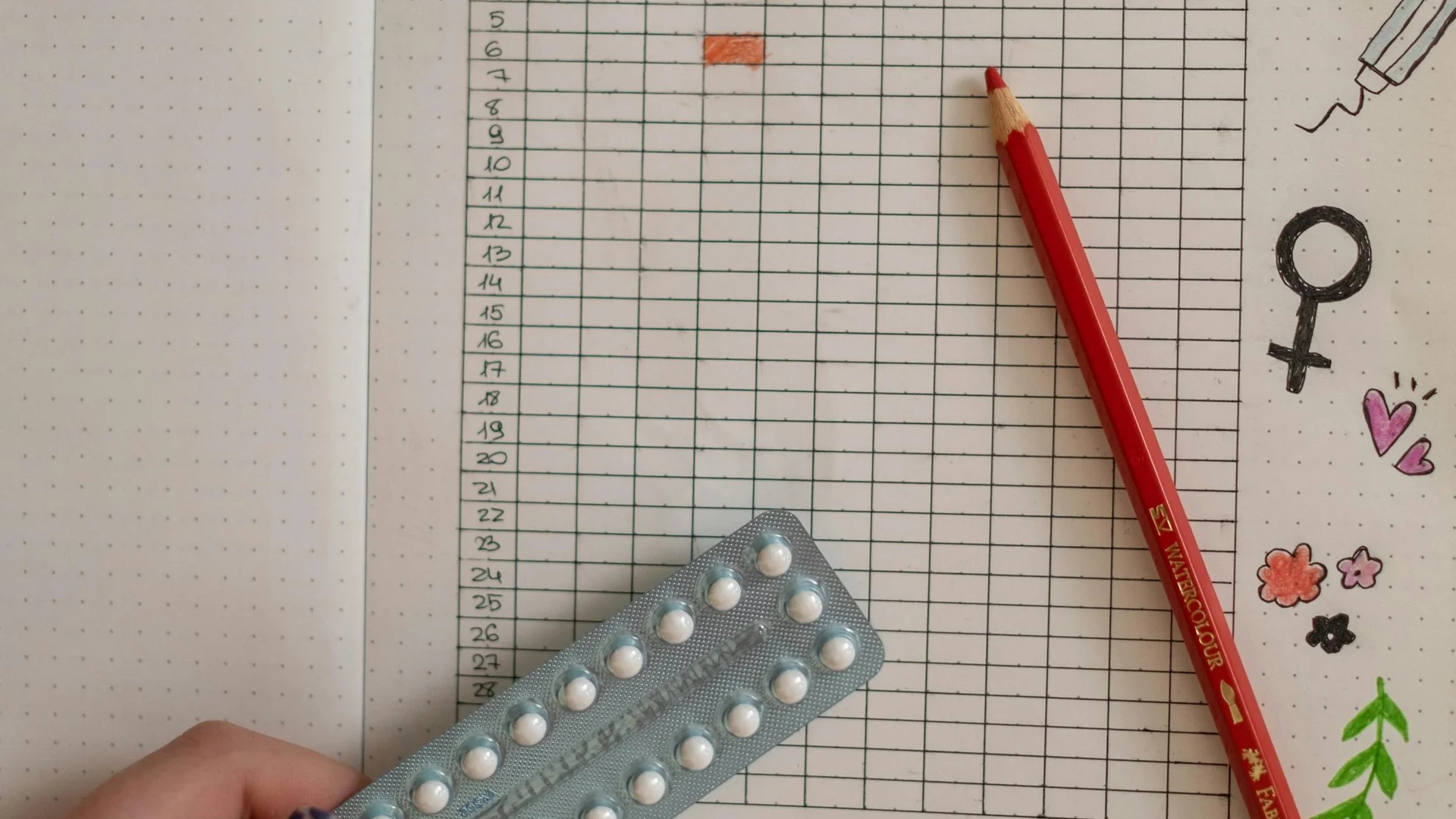 Plaquette de pilule contraceptive tenue dans une main, à côté d'un carnet de suivi de cycle, lumière naturelle
